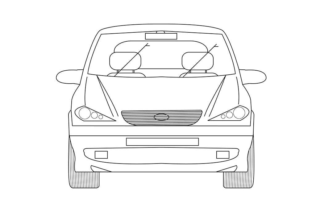 Womb Medical Illustration